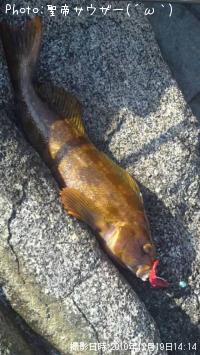 �����ʥ�