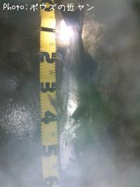 �����ꥯ������