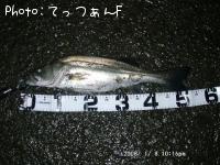 �����ꥯ������