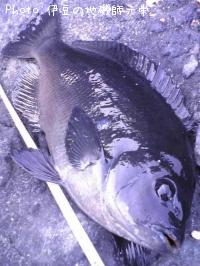 �����᥸��