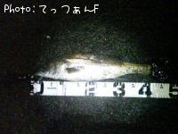 ¥¿¥¤¥ê¥¯¥¹¥º¥