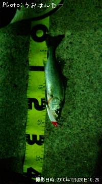 �����Х�