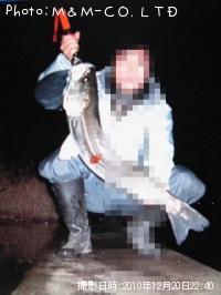 �����Х�