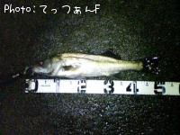 ¥¿¥¤¥ê¥¯¥¹¥º¥