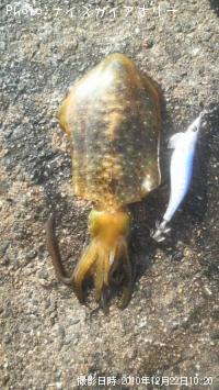 �����ꥤ��