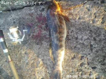 �����ʥ�