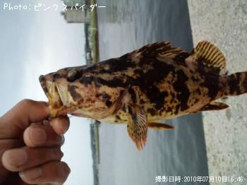 �٥å�������