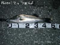 �����ꥯ������