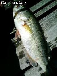 ¥Ö¥é¥Ã¥¯¥Ð¥¹