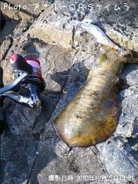 �����ꥤ��