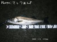 �����ꥯ������