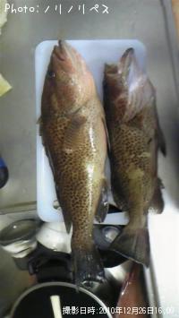 �ޥ������ܥϥ��ϥ�