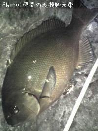 ��Ĺ�᥸��