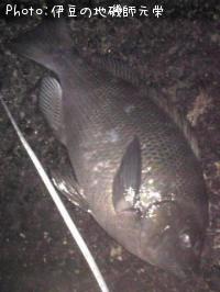 ¸ýÂÀ¥á¥¸¥Ê