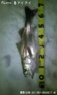 �����Х�