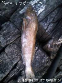 �����ʥ�