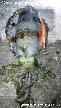 �����ꥤ��