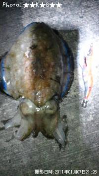 ���֥���