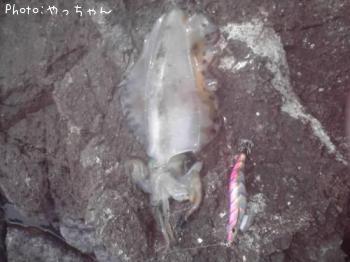 ¥¢¥ª¥ê¥¤¥«