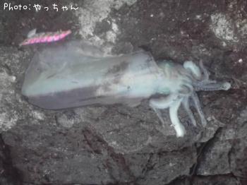 �����ꥤ��