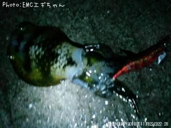 ¥¢¥ª¥ê¥¤¥«