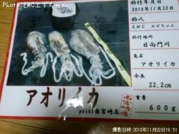 ¥¢¥ª¥ê¥¤¥«