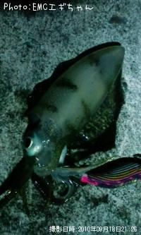 ¥¢¥ª¥ê¥¤¥«