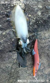 �����ꥤ��