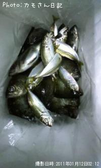 ������������Х�