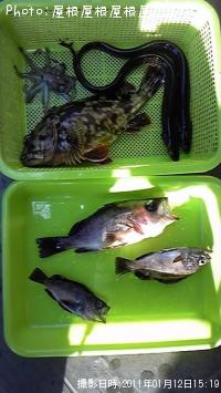 ��������ã