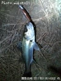 �����Х�