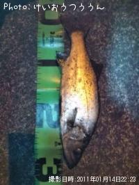 �ҥ饻����