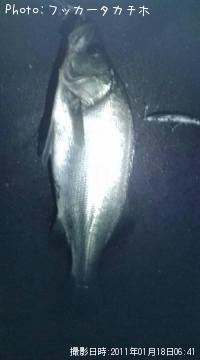 �ҥ饹����