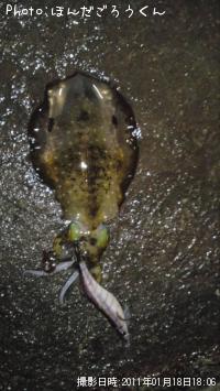 �����ꥤ��