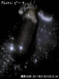 �����ꥤ��