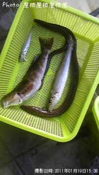 ¥¢¥¤¥Ê¥á¡¡¥¢¥Ê¥´¡¡¥¥¹