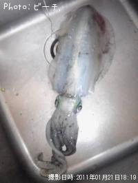 �����ꥤ��