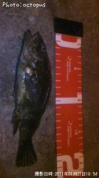 ¥¿¥±¥Î¥³¥á¥Ð¥ë