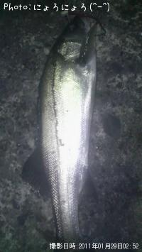 �����Ф���ʡ��١��ˡݡ�