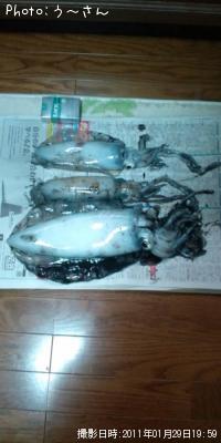 �����ꥤ��