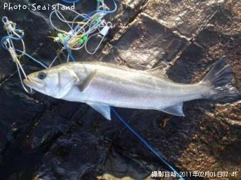 �����Х�