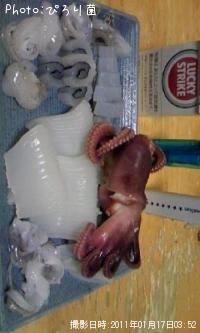 �����ꤣ������