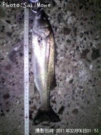 ¥Á¡¼¥Ð¥¹¡¡