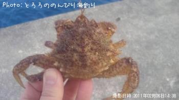 ¥È¥²¥¯¥ê¥¬¥Ë