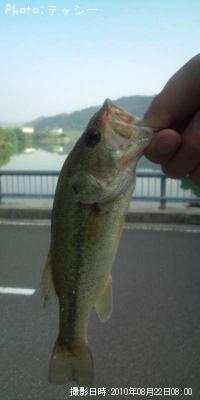 ¥Ö¥é¥Ã¥¯¥Ð¥¹