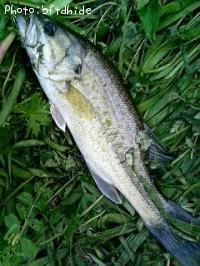 �֥�å��Х�