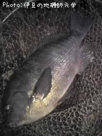 �����᥸��