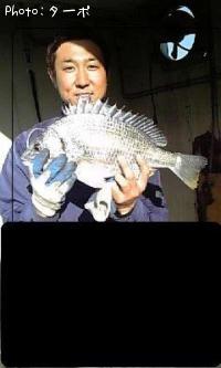 ���ӥ����