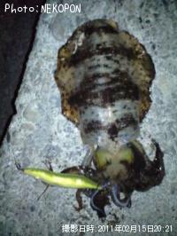 ¥¢¥ª¥ê¥¤¥«