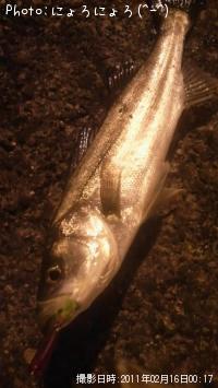 �����Ф���ʡ��١��ˡݡ�